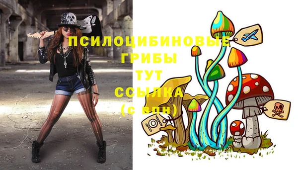 марки nbome Богданович