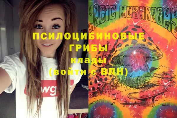 гидра Балахна