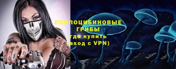 крисы Богородск