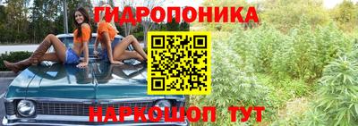 амф Ликино-Дулёво