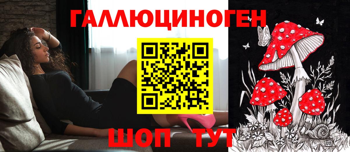Галлюциногенные грибы MAGIC MUSHROOMS Зима