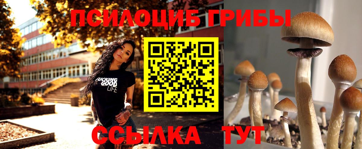 Галлюциногенные грибы Magic Shrooms  Вход с VPN  Галлюциногенные грибы прущие грибы  Зима 